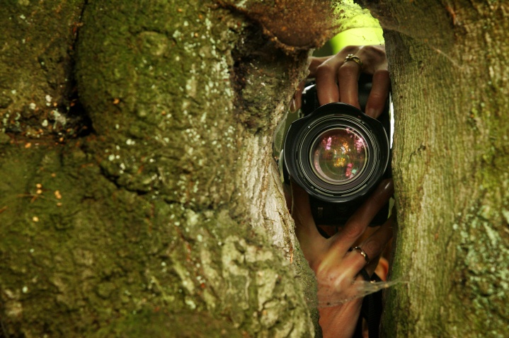 Artkontakt, Filmové tvůrčí dílny a performance, Plenér Loket